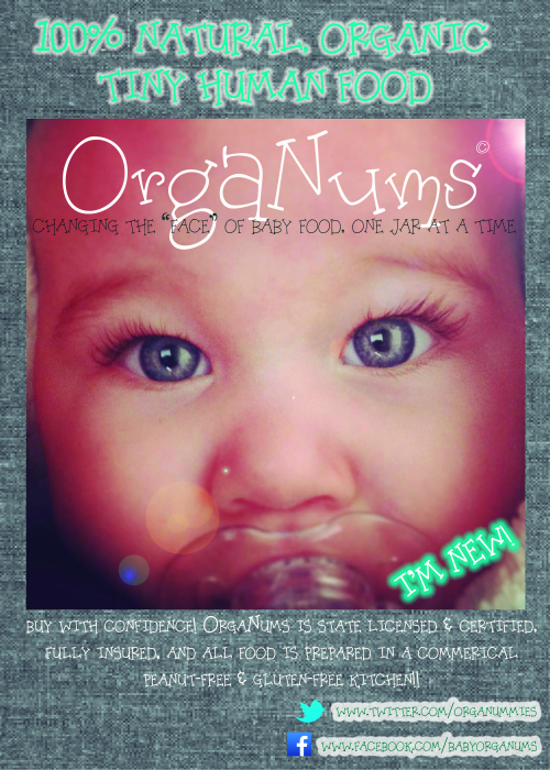 Transform the Baby Food Industry with OrgaNums'