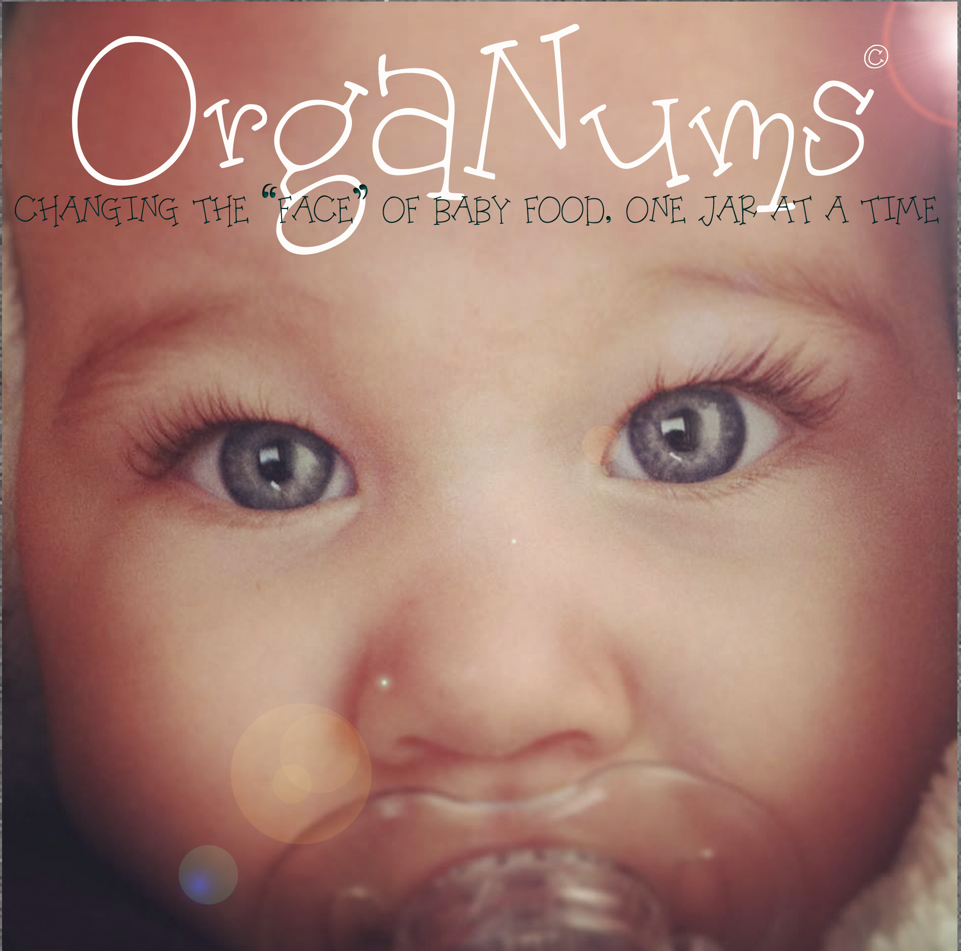 Transform the Baby Food Industry with OrgaNums