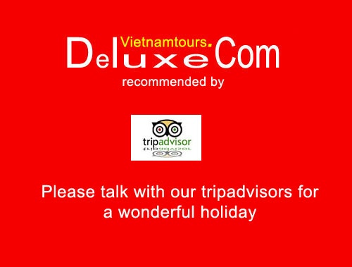 Company Logo For Deluxe Vietnam Tours'