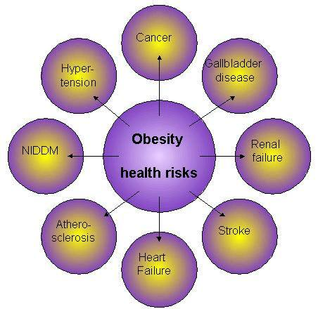 Company Logo For slimmerexpert'