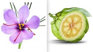 Garcinia Cambogia Select and Saffron Extract Select'