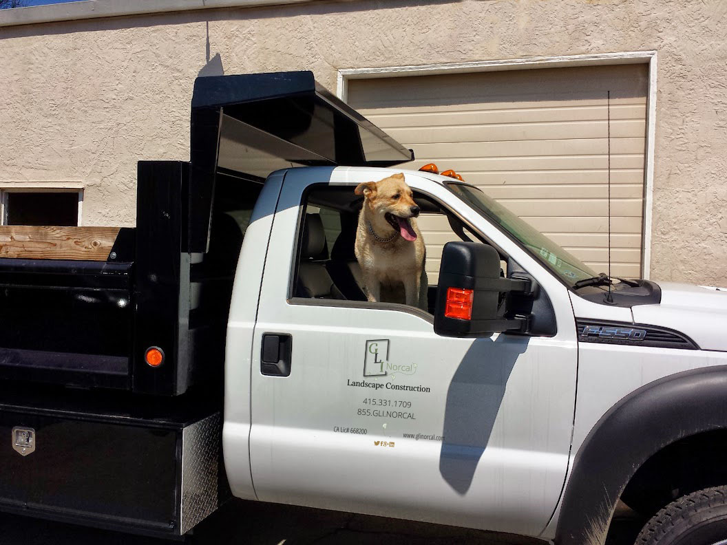 Company mascot Kunie - ready to get started on your project!'