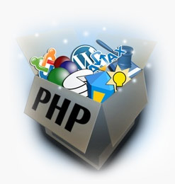 Hire PHP Programmer'