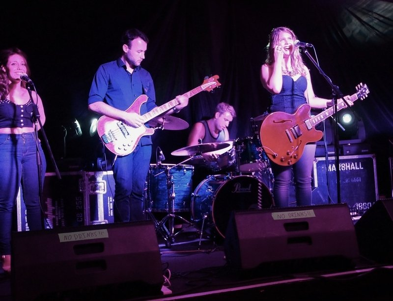 Tiger &amp; the Rogues