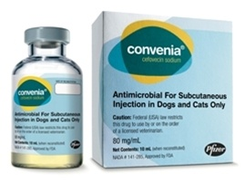 Convenia Injection with Sterile Water'