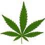 Spokannabis Fest Logo'