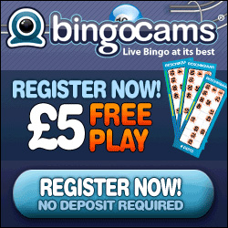 Bingo Cams'
