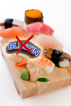 Disappearing Bluefin Tuna Sushi'