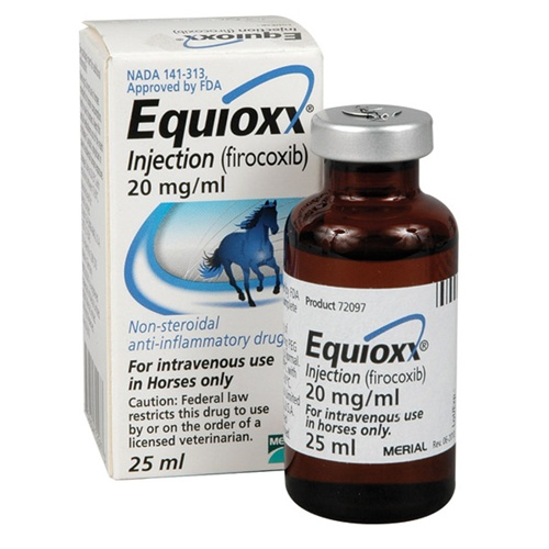 Equioxx Oral Paste Syringe Firocoxib'