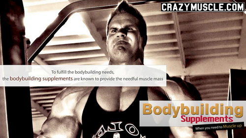 Synthol'