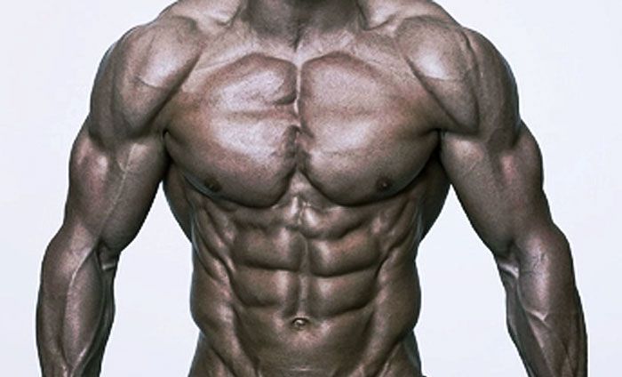 Mod Your Bod