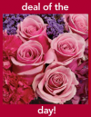 Pittsford Florist Deal of the Day'