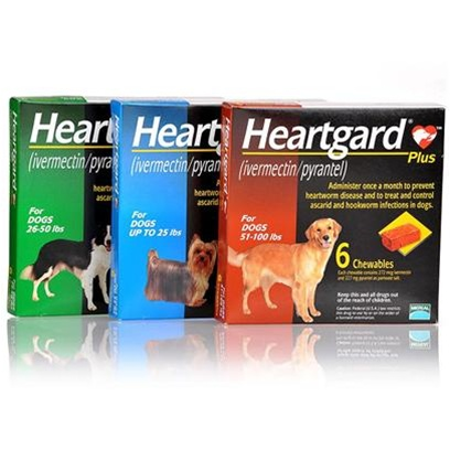 Heartgard Plus Chewables'