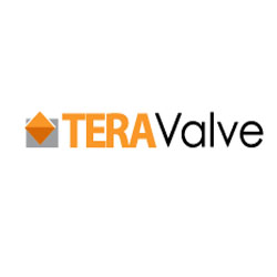 Company Logo For TeraValve'