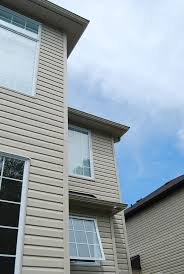 vinyl siding'
