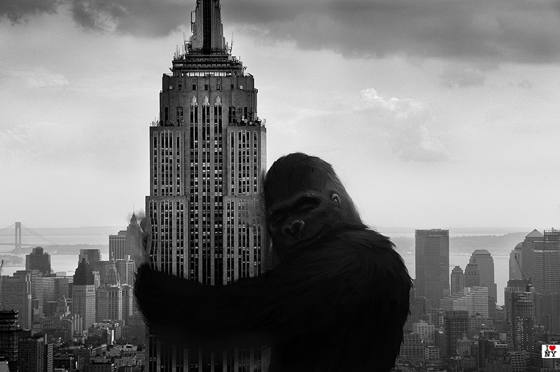 Beyond the 5th Avenue