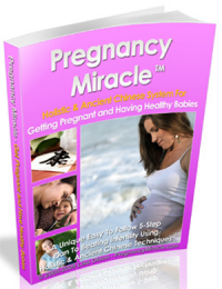 Pregnancy Miracle Review by Female Fitness Blog - Holistic a