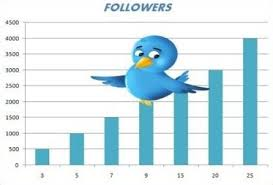Twitter followers'