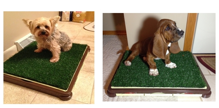 F.I.D.O. to the Rescue!'