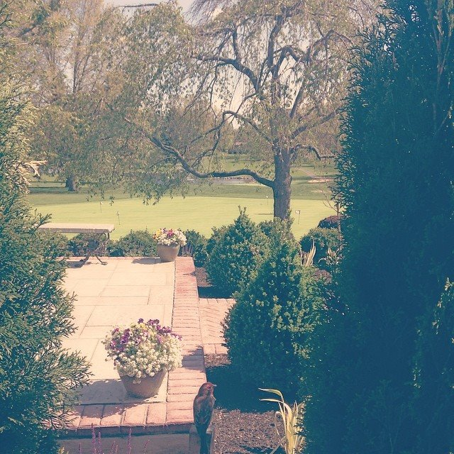 Northampton Valley Country Club Patio'