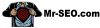 Company Logo For MR-SEO'