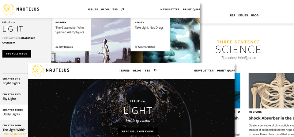 best web designer Dundee'