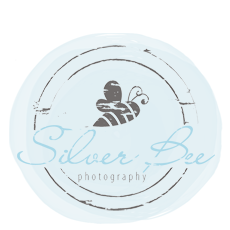 Silver Bee Photography