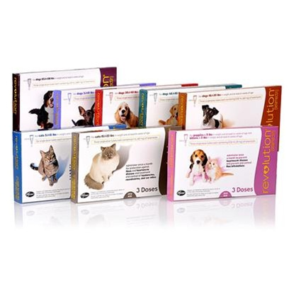 Revolution for Dogs'