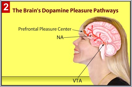 Peak BrainHappiness Trainer 2