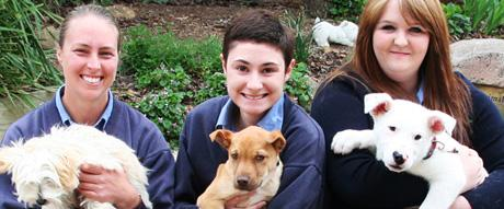 BUY PARTS SUPPORTING THE 2014 INTERNATIONAL TRUCK, TRAILER &