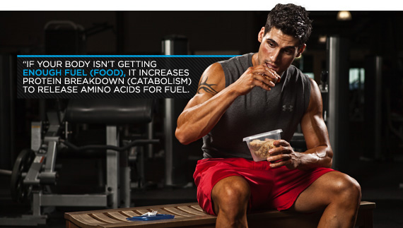 Crazy Mass Supplements'