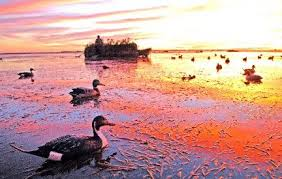 Mississippi duck hunting land