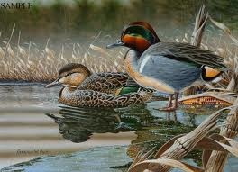 duck stamps