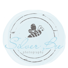 Silver Bee Photography Logo