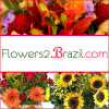 Flowers2Brazil'
