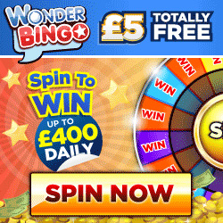 Wonder Bingo'