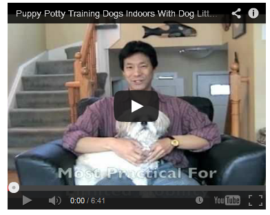 Puppy Potty Training Tips'