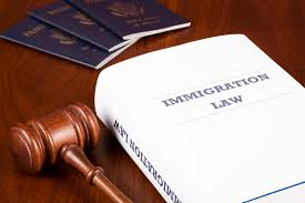 immigration law'