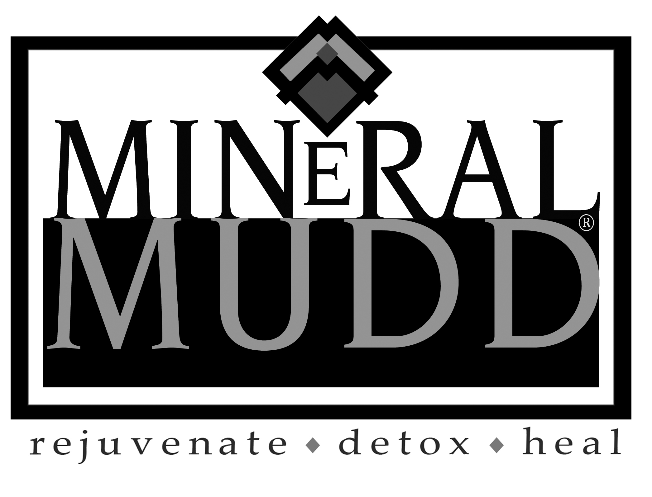 Company Logo For Mineral Mudd'