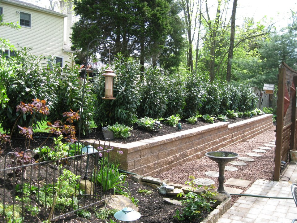 Whitehouse Landscaping - Walkway'