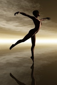 Wildflowers Chiropractic