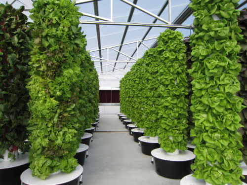 Organics of Chicago Emerging Green Technologies'
