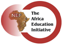 Africa Education Initiative'