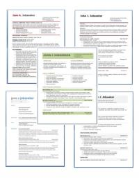 Resume Examples'