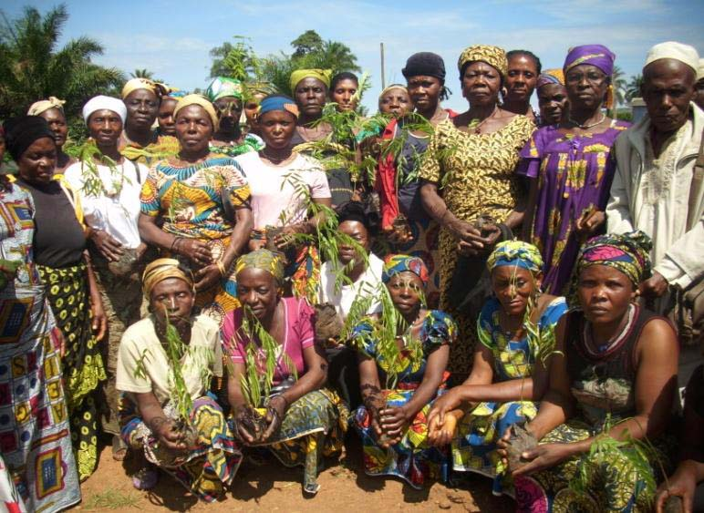 WIDOWS SEEK FOR YOUR HELP WITH LEAVES OF PEACE AND BLESSINGS