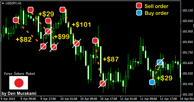 Forex Sakura'