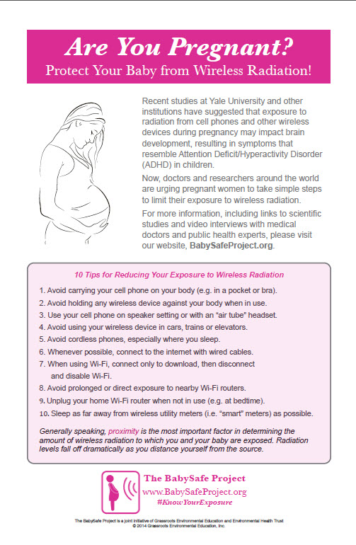 Babysafe Project Poster