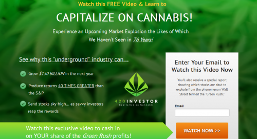 Capitalize On Cannabis'