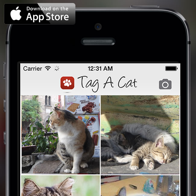 Tag A Cat