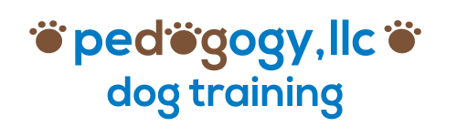 Company Logo For Pedogogy LLC'